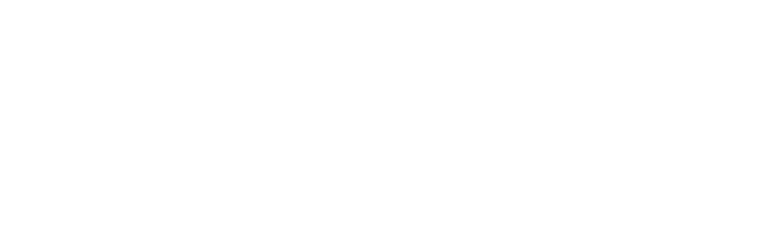 mvc-videra_logotype_nega